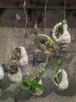 环创立体贝壳,贝壳墙环创