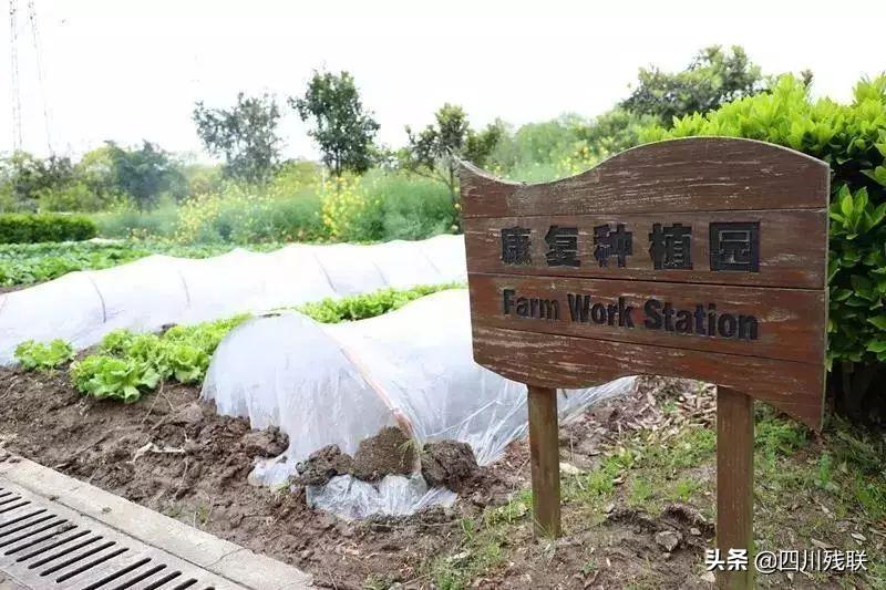 脑洞大开的特效药,脑洞大开的康复治疗