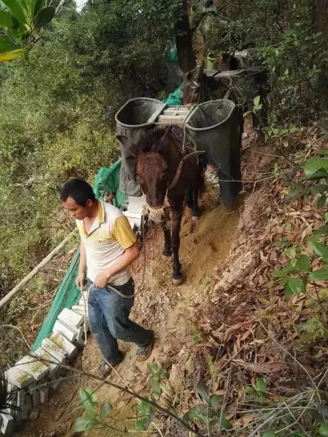 哪些小生意看似不起眼却很赚钱,有哪些不起眼但很能赚钱的职业