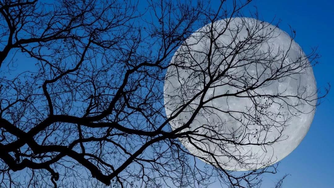 有人说七情六欲最好听怎么回答,什么是七情和六欲