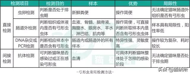 怎么才能让猫咪远离皮肤病,猫咪驱弓形虫用哪种药