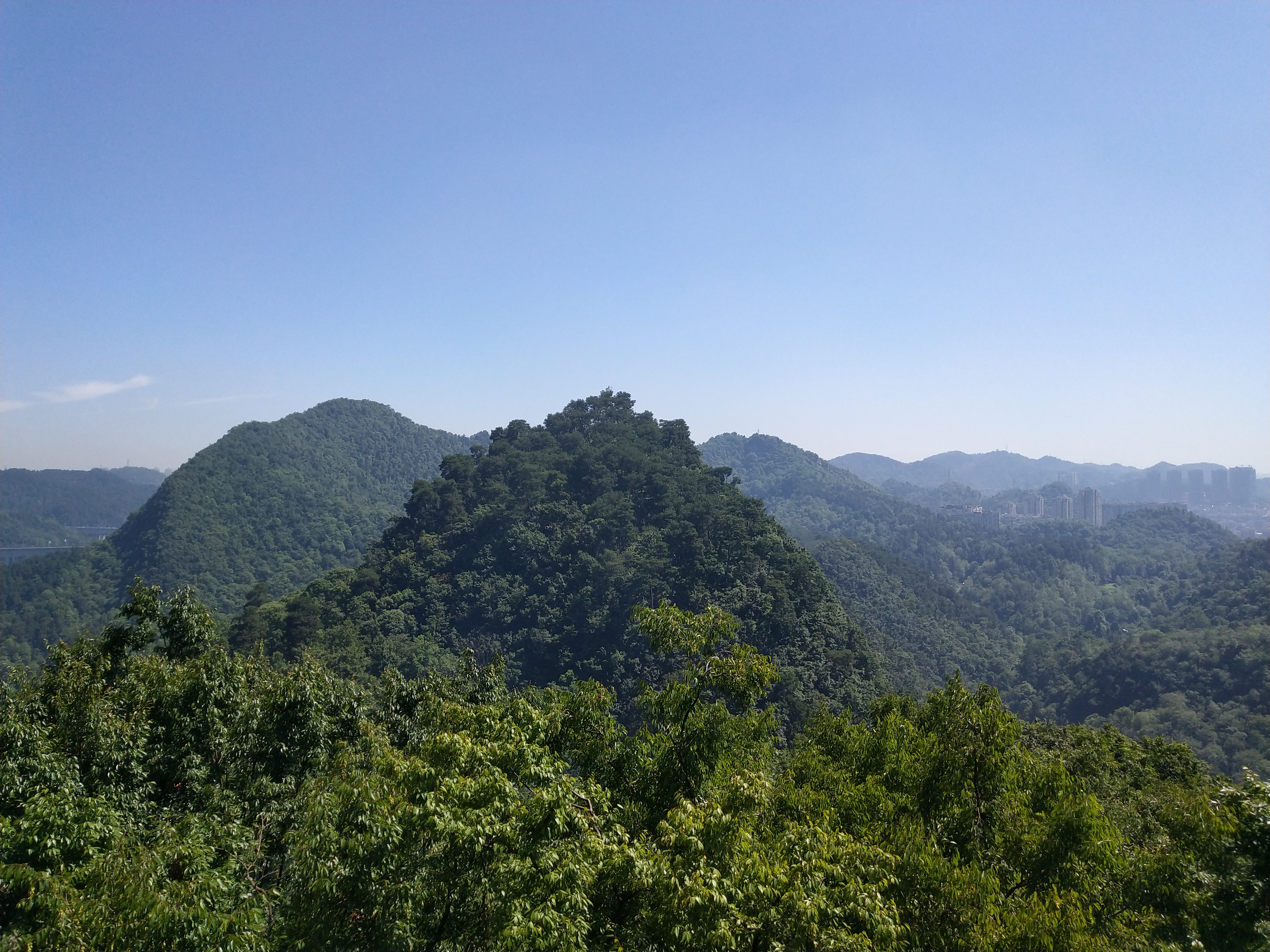 微游贵阳：深度玩透黔灵公园之自然风景