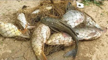 陕西大姐蛋糕店用“借网捕鱼”,一月赚22万,这个点子你也可以