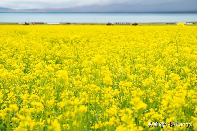 大西北六天五晚攻略,六天五晚的大西北旅行