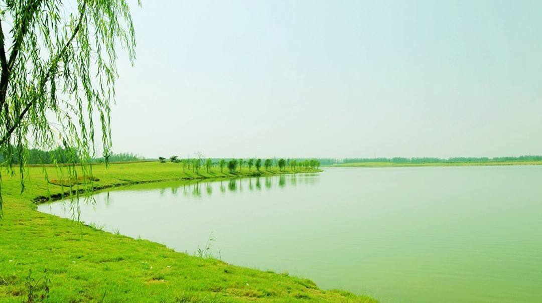 连云港灌南县面积多少平方公里,连云港灌南县是哪个区