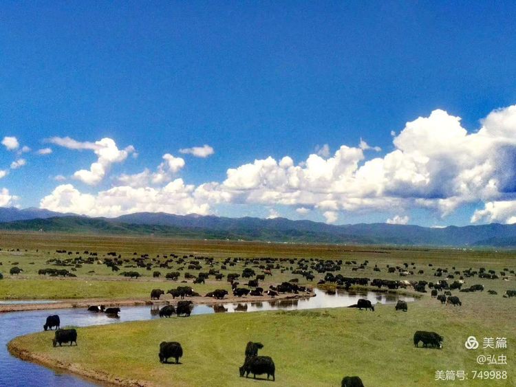 汉中青海甘肃大环线七日游,五一到秦岭旅游攻略三日游