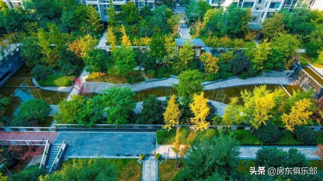 东棠之后，还有西棠。高新区扛把子一出，谁与争锋？