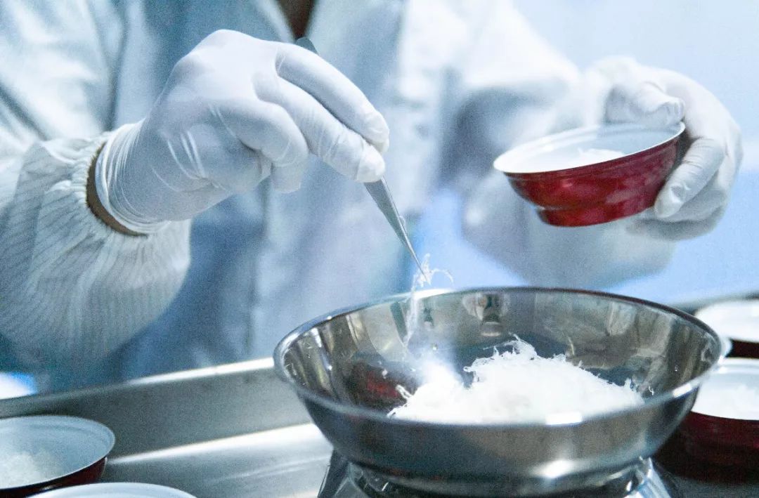 毛燕在马来西亚,马来西亚毛燕好吗