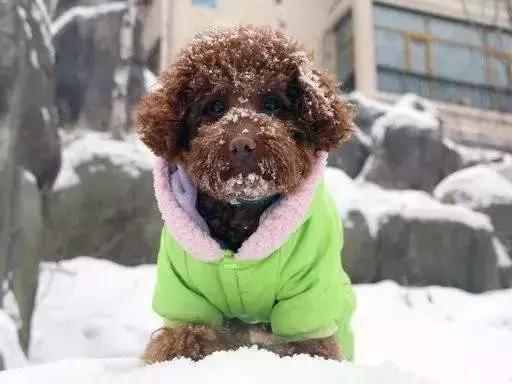 下雪后怎么护肤,化妆品冰箱零下18度冻住了怎么办