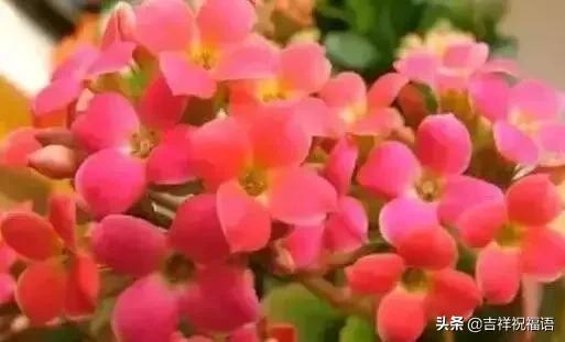 父亲节送给父亲什么礼物最好,父亲节一首好听的歌送给父亲