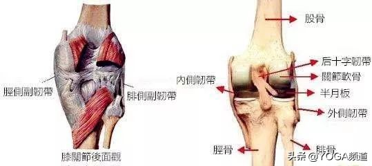 怎么拉伸韧带视频教程,怎样拉伸韧带不容易受伤