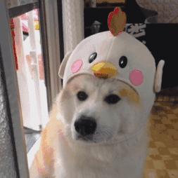 福州新的旅游景点在哪里,福州新一批旅游景点