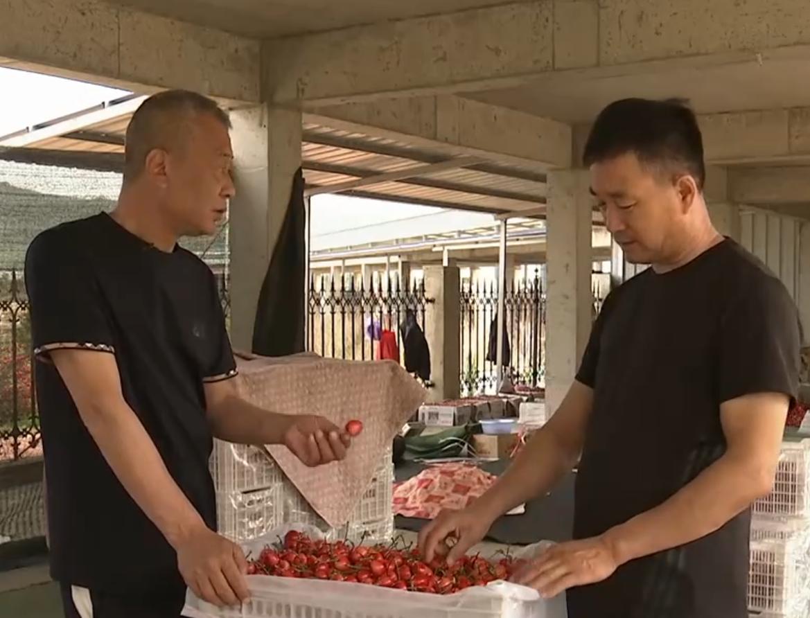 种植樱桃带动群众致富业绩介绍,下岗工人创业2元糖葫芦年赚2千万