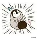 袁咏仪短发发型图片大全,袁咏仪发型短发