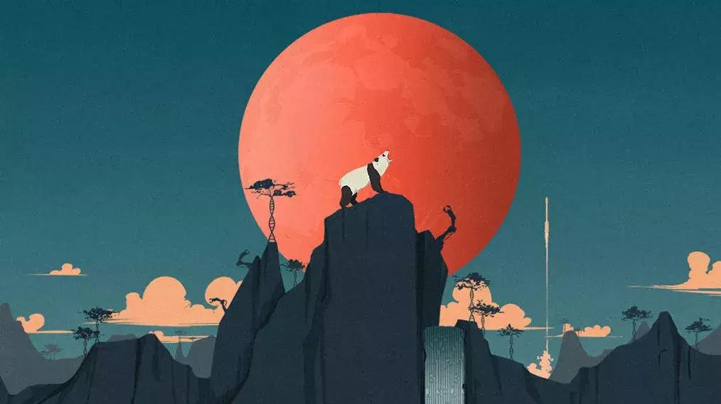 被梦校拒绝是怎样的一种体验,被梦想学校拒绝