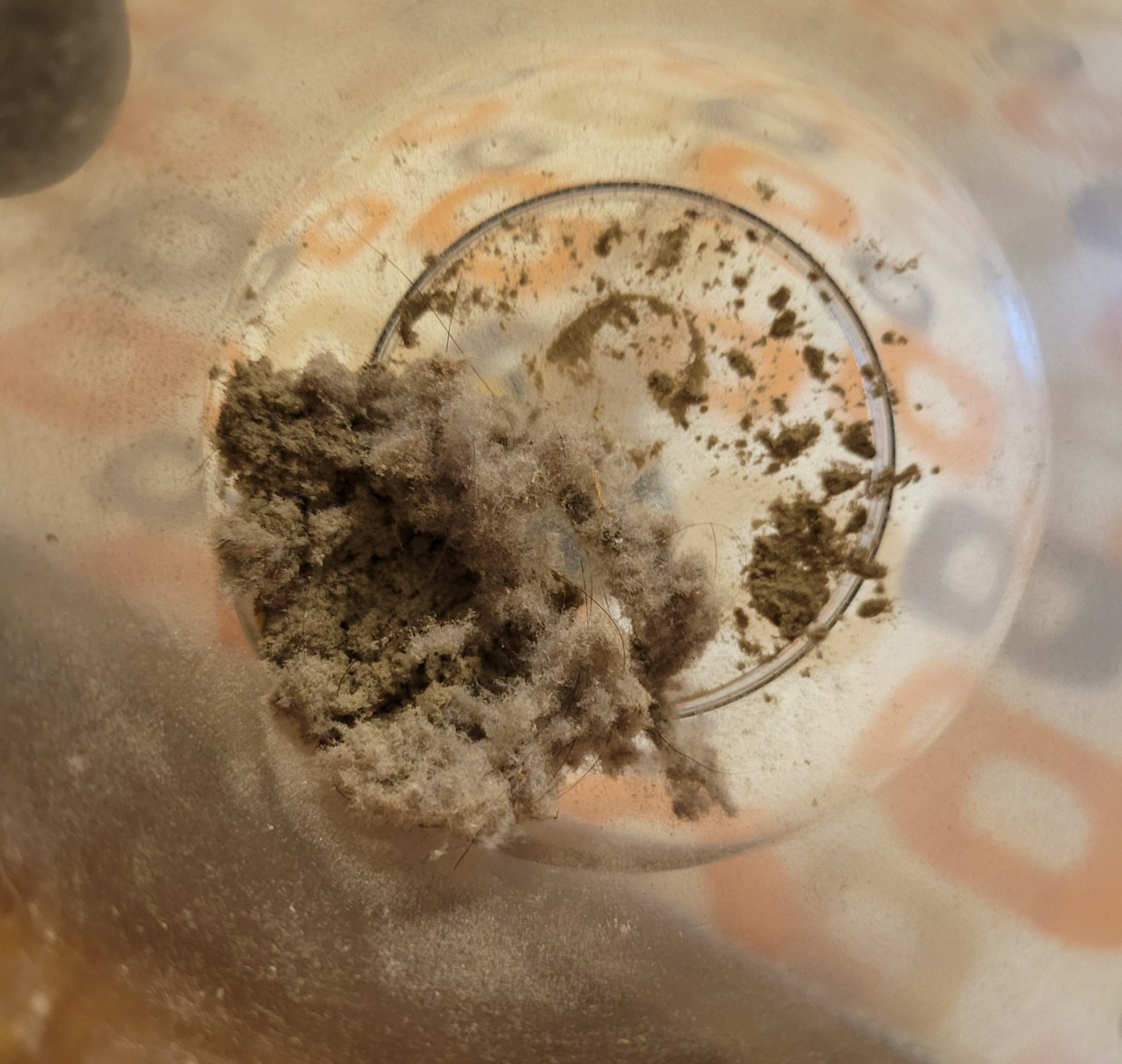 家里有细毛灰尘是什么原因,别再为琐事烦心