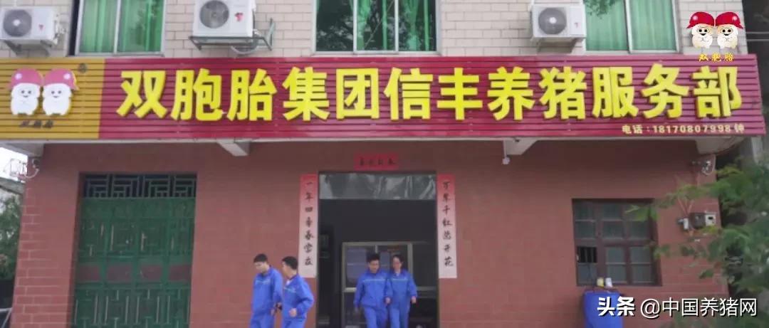 双胞胎饲料公司加农户养猪,和双胞胎合作养猪的利润有多少