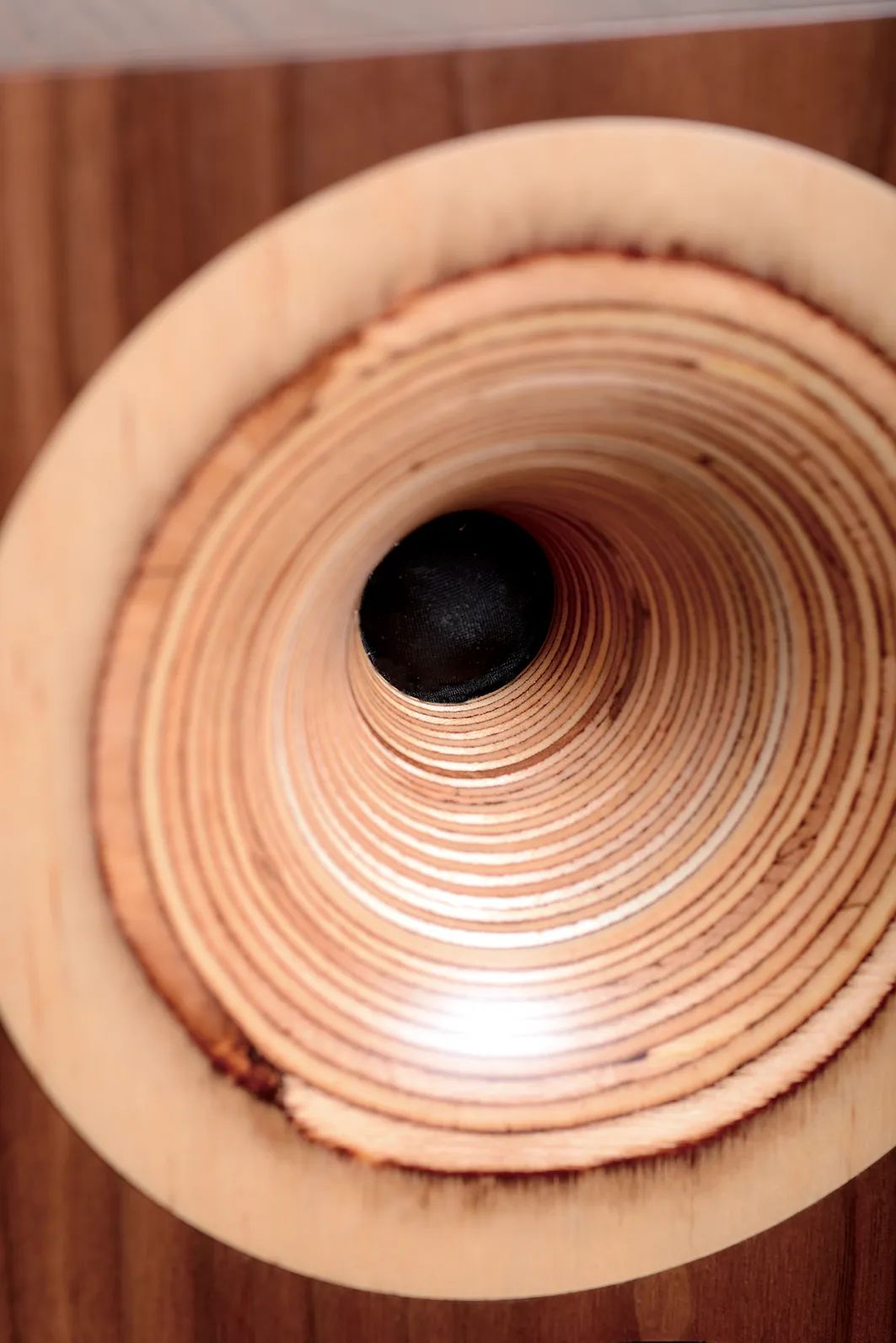 小功率胆机的福音——德国OdeonAudio奥丁Midas号角落地箱