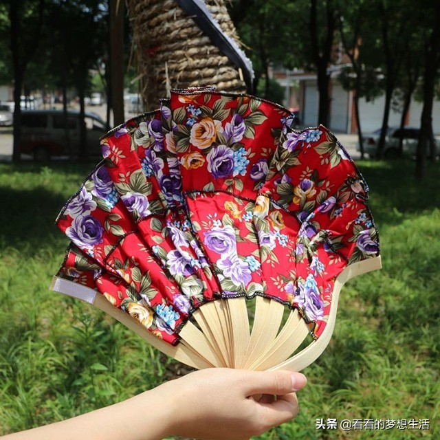 去泰国旅游有必要买弯扇吗,去泰国旅游一定会被拐吗