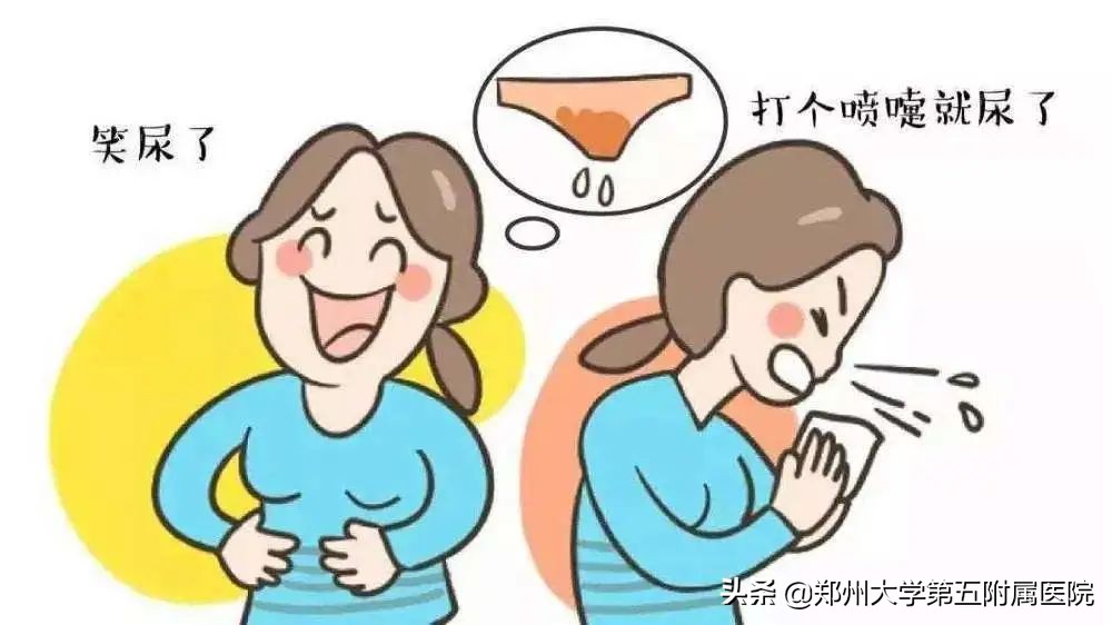 个人盆底康复工作室,盆底康复大全