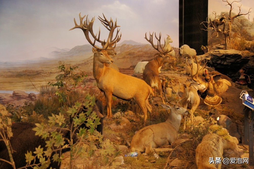 上海科技馆游玩攻略,上海科技馆亲子游玩攻略