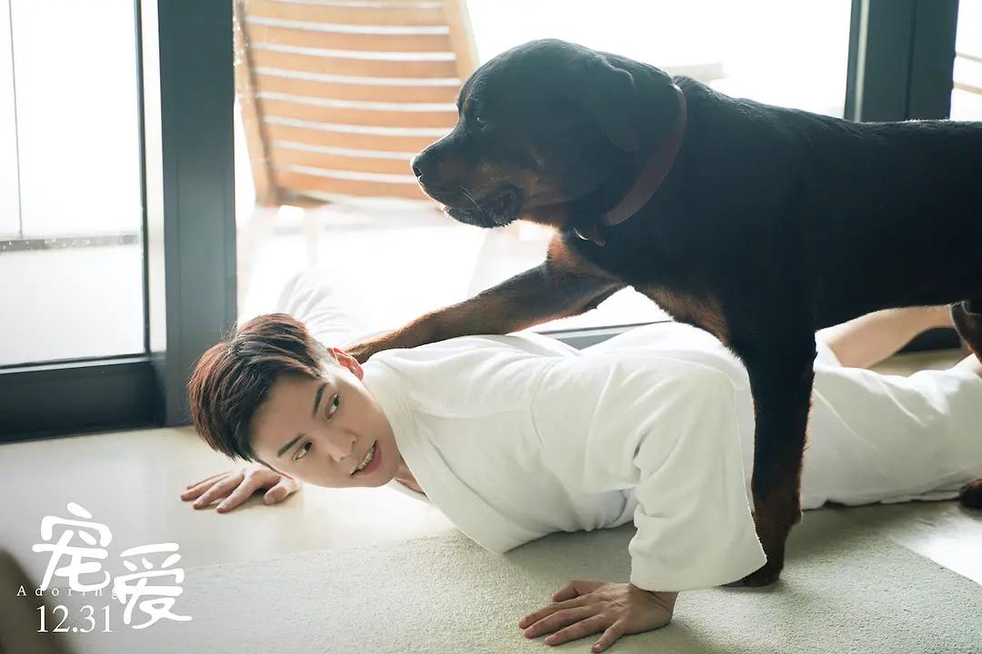 史上最成功烂片狂揽几十亿票房,票房超10亿的五部烂片