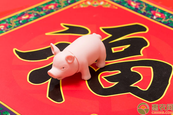 19年猪年时间跨度,2019年猪年和2020年鼠年