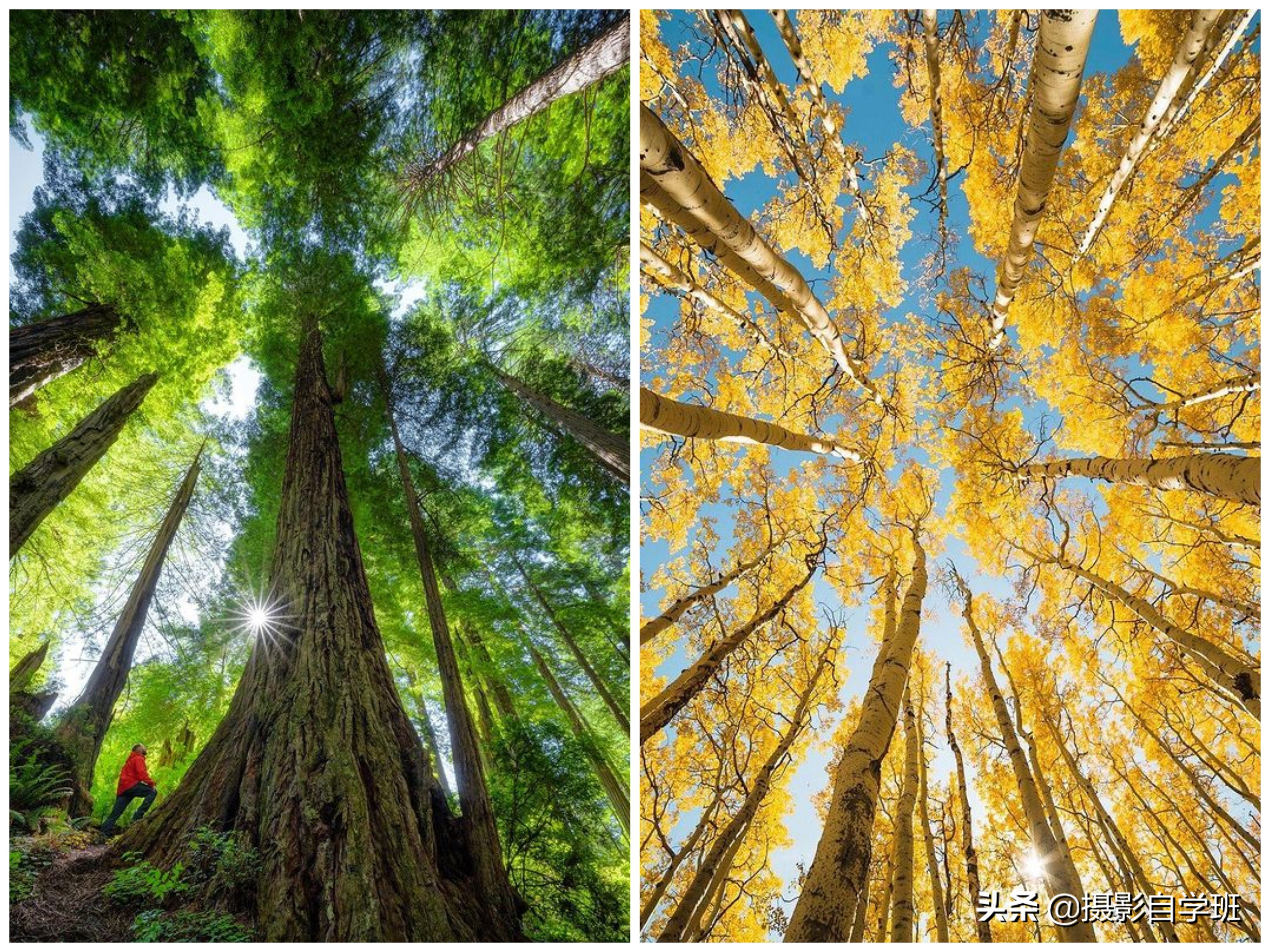 风景不好看怎么拍,风景不知道咋拍好