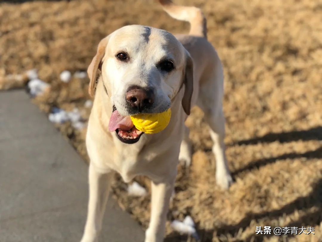 麦扣的家庭,麦扣的质感好物