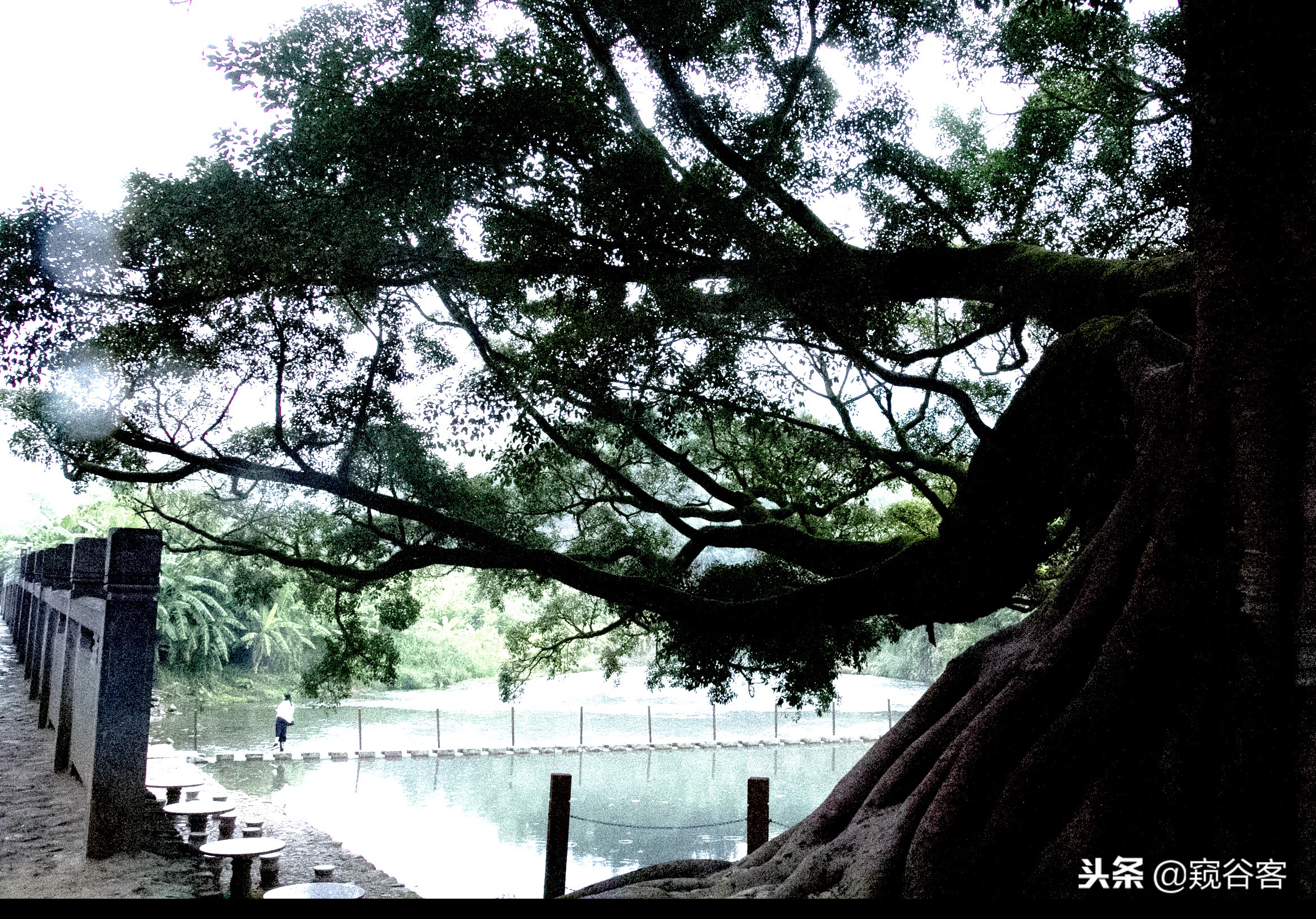 不可错过的英文歌,不可错过的云水谣