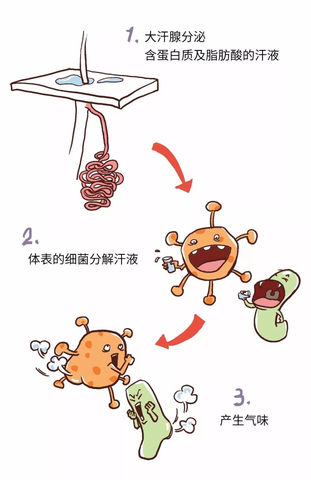 拒绝“腋”来香|精油调配体香剂,化解夏日尴尬