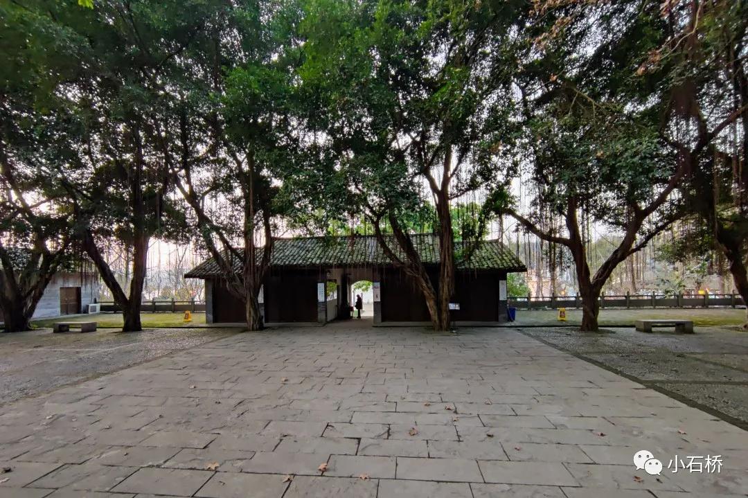 宜宾纪行:心心念念是李庄