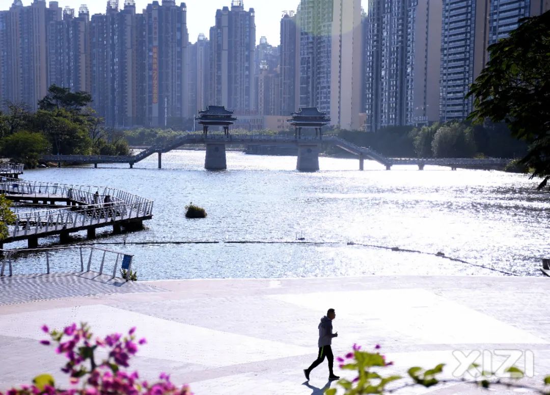 美丽鹅城,最美鹅城