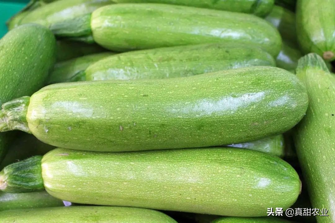 台风助力产区菜价整体飘红10.13广州蔬菜行情