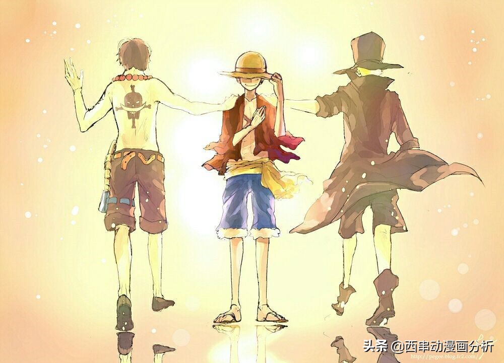 海贼王:看海贼王会不会很幼稚,张爱玲曾经说过这么一段话!