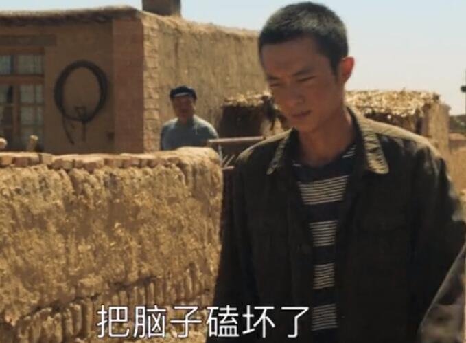 山海情结束后的感受,山海情追剧