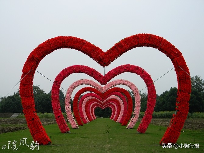 单车骑行无锡,无锡单车骑行路线