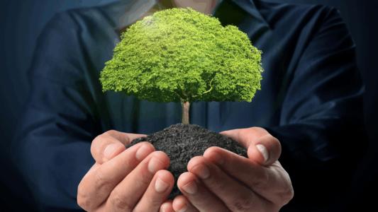 3.15来临！商界大佬也被骗过？手把手教你创业