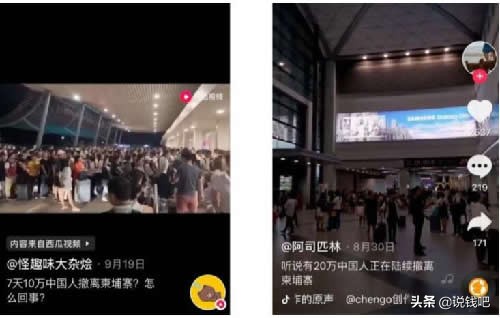 妄想柬埔寨种菠菜年薪百万的中国年轻人，梦想碎了一地