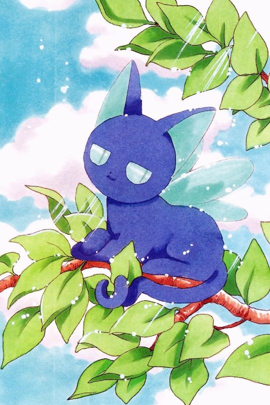 魔卡少女樱壁纸超清图片,魔卡少女樱壁纸高清图