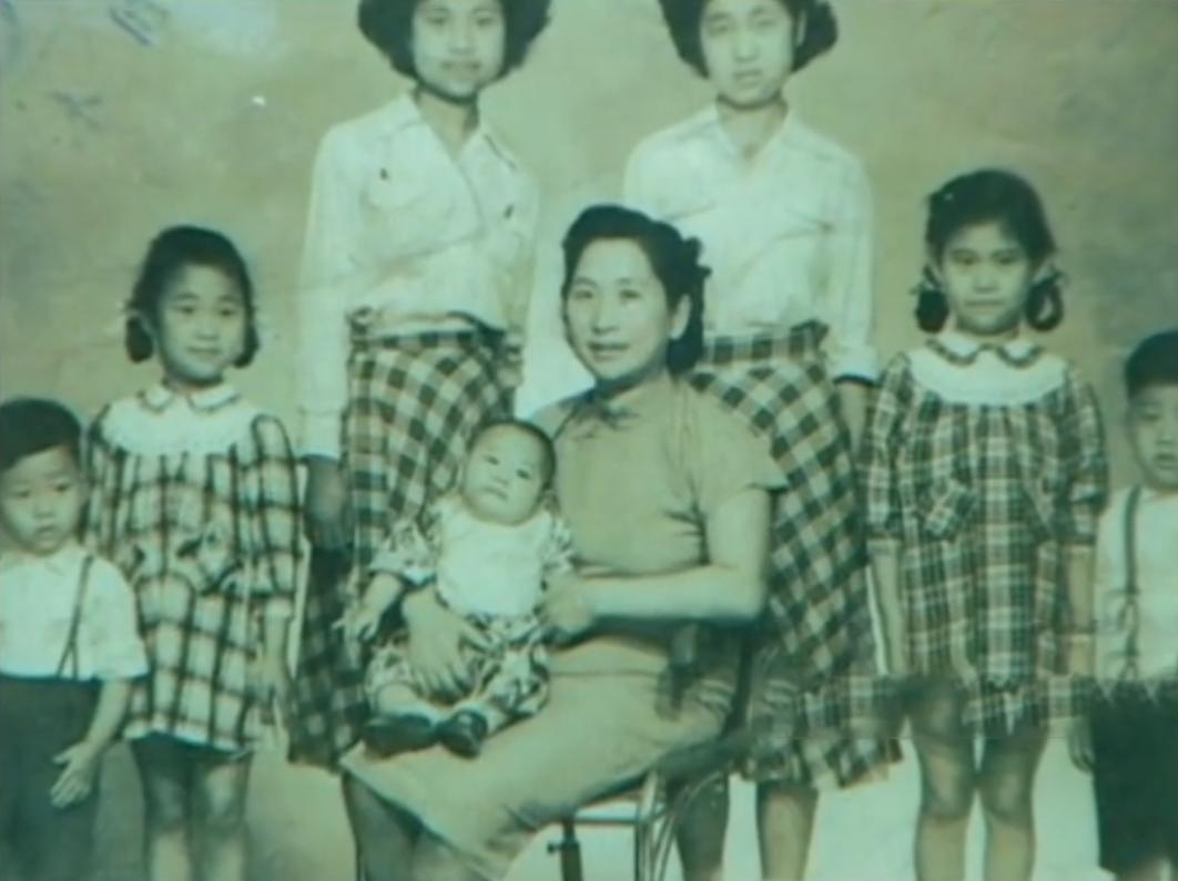 香港卫视中文台沈殿霞节目,tvb沈殿霞葬礼发言