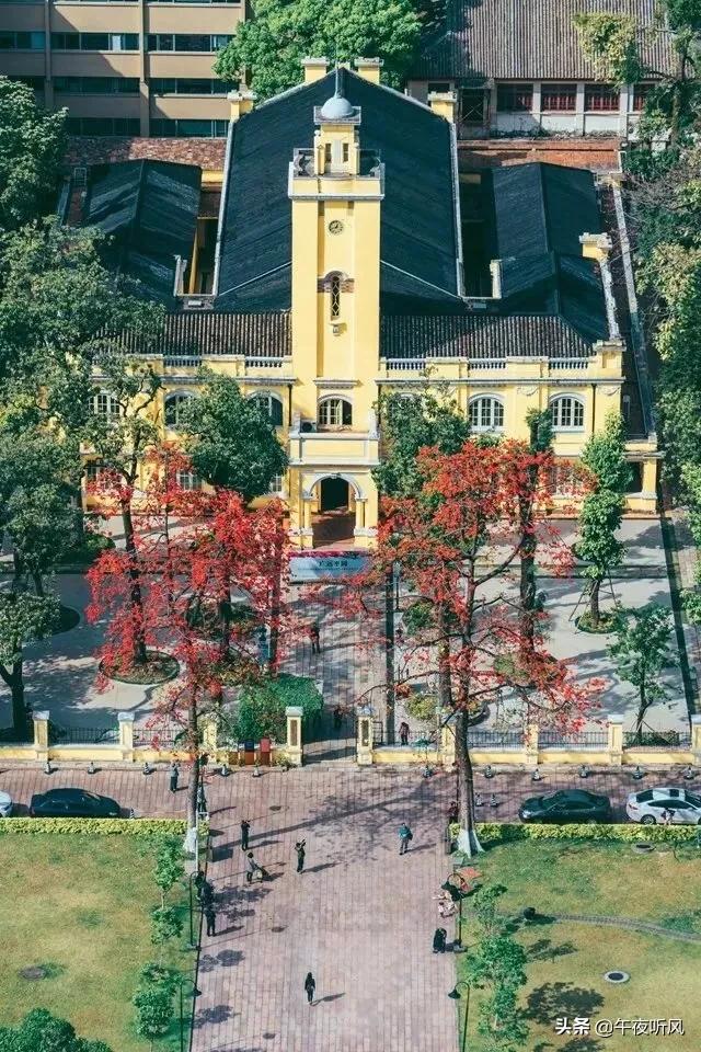 什么是麻精药品定义,什么是桃子女孩