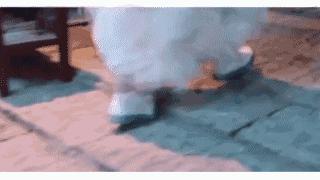 明星都在穿的潮鞋不容错过哦,今年过年必备的五双平价好鞋