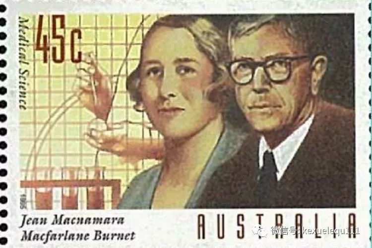 杀死一只兔子的预兆,杀死兔子的方法