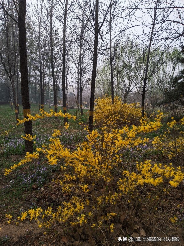 如何在公园里拍出氛围感照片,公园摄影怎么拍出高级感