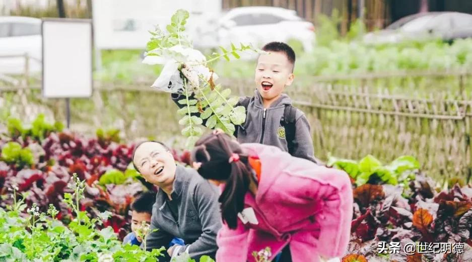 《观明德》|“研”传深“教”，让教育发光