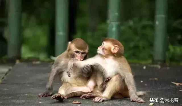 有一种生活叫永春湖洋,有一种生活叫永春夜景