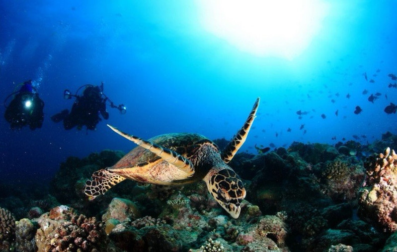 适合初级潜水的潜点,船宿潜水需要带什么