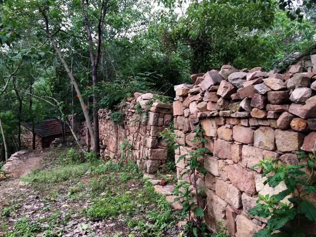 凤凰措古村落,凤凰措古村落设计