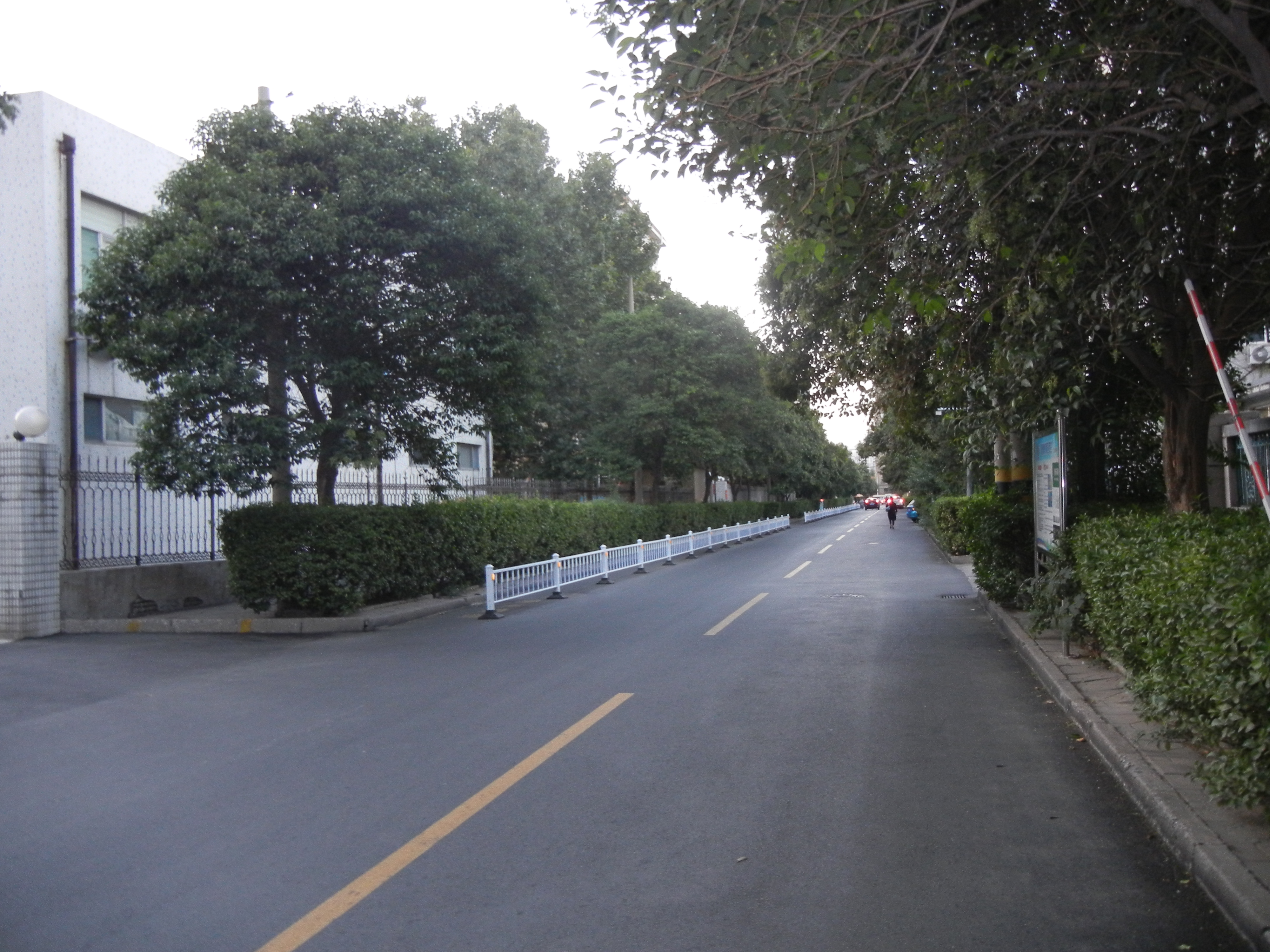 潍坊中新双语学校排名,潍坊中新双语小学排名